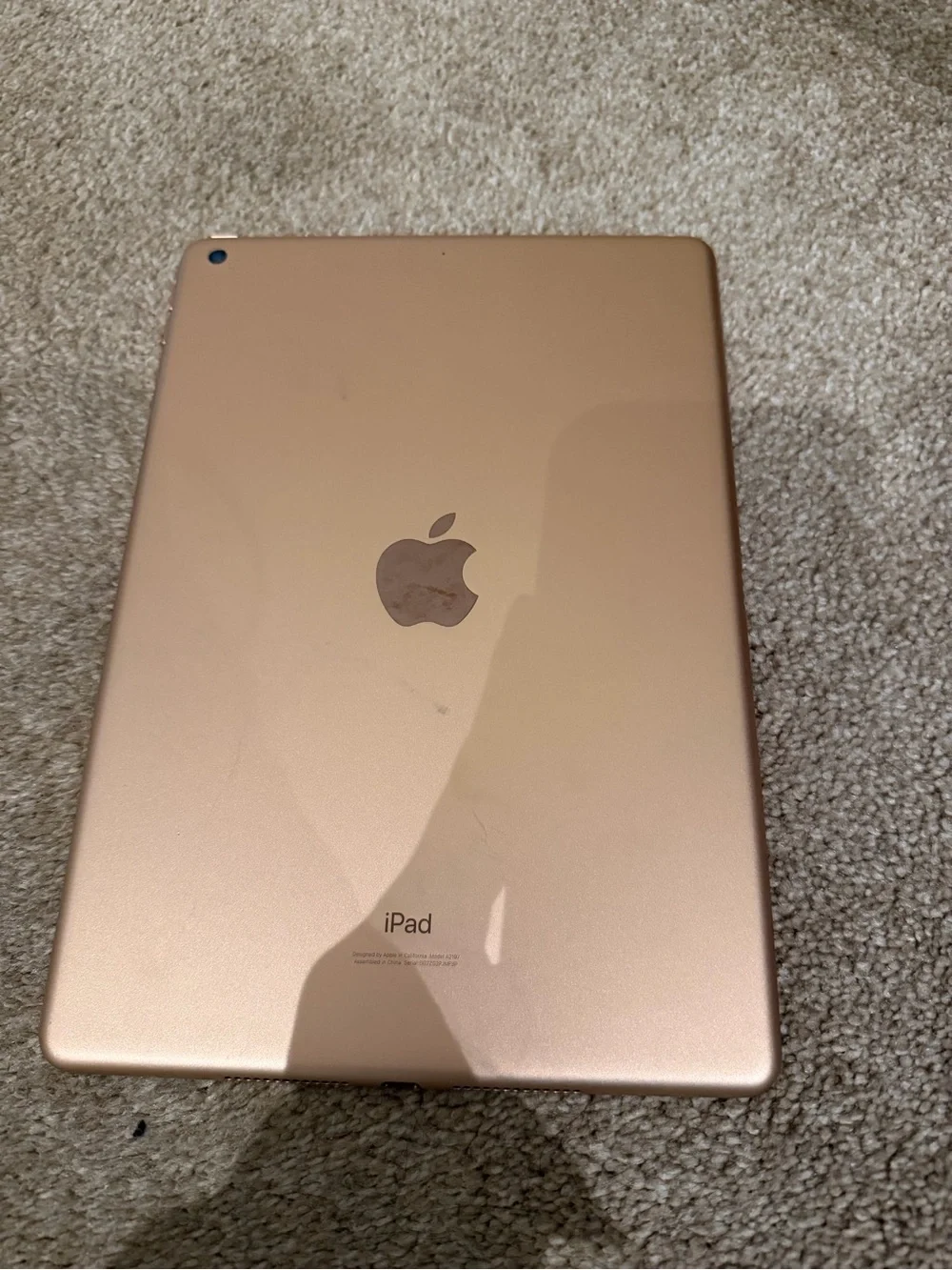 Apple iPad - Rose Gold Finish